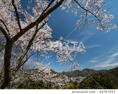 A view from Kinosaki Onsen Onsen-ji Temple 49767443