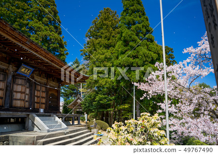 Kinosaki Onsen Onsen-ji Temple Sakurabuki 49767490