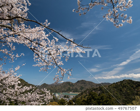 A view from Kinosaki Onsen Onsen-ji Temple A view from Kinosaki Onsen Onsen-ji Temple 49767507