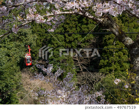 城崎溫泉索道 城崎溫泉索道 49767519