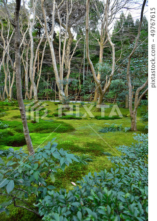 Winter Temple Garden 49767615