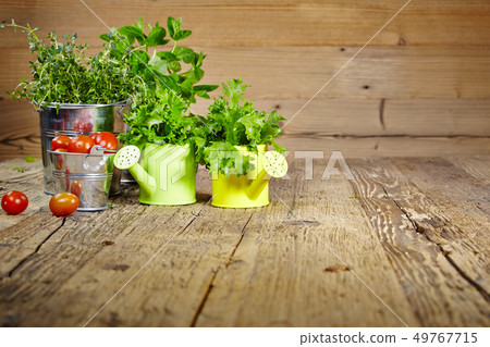 Mint leaves on wooden table Mint leaves on wooden table 49767715