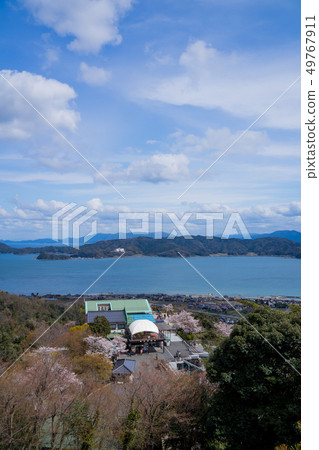 Amanohashidate在日本三個景點Tango Peninsula Amanohashidate盛開 49767911