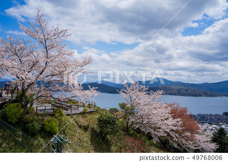 Amanohashidate在日本三個景點Tango Peninsula Amanohashidate盛開 Amanohashidate在日本三個景點Tango Peninsula Amanohashidate盛開 49768006