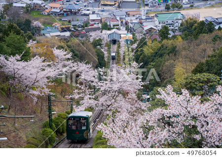 Amanohashidate in three scenic spots in Japan Tango Peninsula Amanohashidate in full bloom 49768054