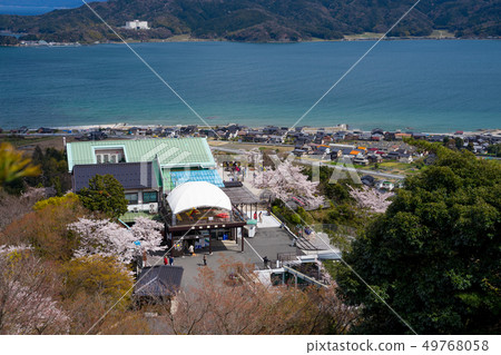 Amanohashidate在日本三個景點Tango Peninsula Amanohashidate盛開 49768058