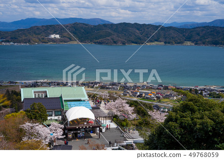 Amanohashidate在日本三個景點Tango Peninsula Amanohashidate盛開 49768059