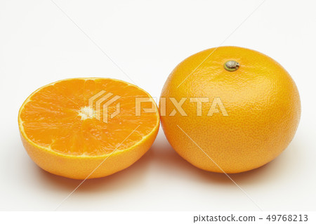 Something Something 49768213