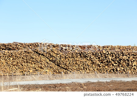 Log storage Log storage Log storage Log storage 49768224