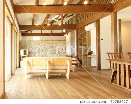 Stylish living of a pet living designer house 49768427