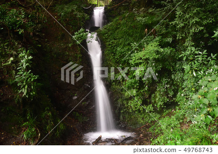 Kannon Falls (Tenryu-ku, Hamamatsu City, Shizuoka Prefecture) Kannon Falls (Tenryu-ku, Hamamatsu City, Shizuoka Prefecture) 49768743
