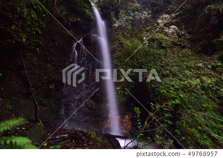 Takinosawa Falls(靜岡縣濱松市Tenryu-ku) Takinosawa Falls(靜岡縣濱松市Tenryu-ku) 49768957