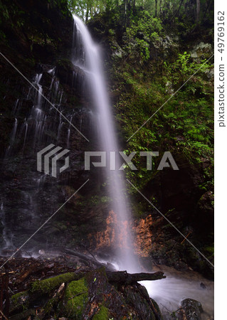 Takinosawa Falls（靜岡縣濱松市Tenryu-ku） 49769162