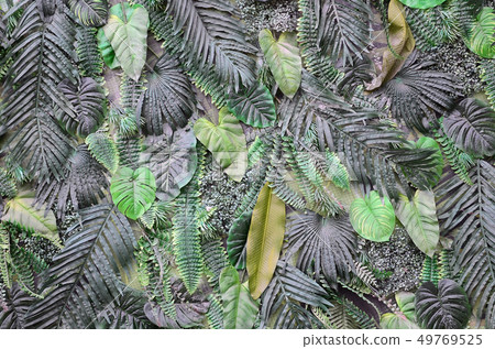 Tropical green leaves background, fern, palm and 49769525