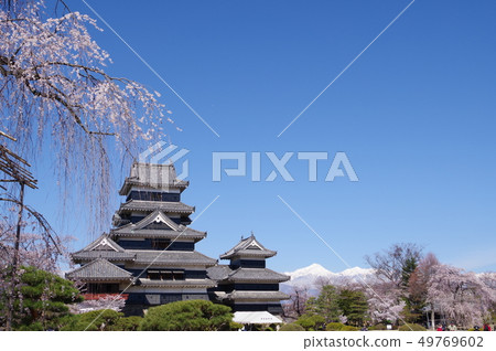 Shinshu Matsumoto國寶春天松本城北阿爾卑斯山Jomonake和Sakura 12座現有塔樓之一(2019年春季) Shinshu Matsumoto國寶春天松本城北阿爾卑斯山Jomonake和Sakura 12座現有塔樓之一(2019年春季) 49769602