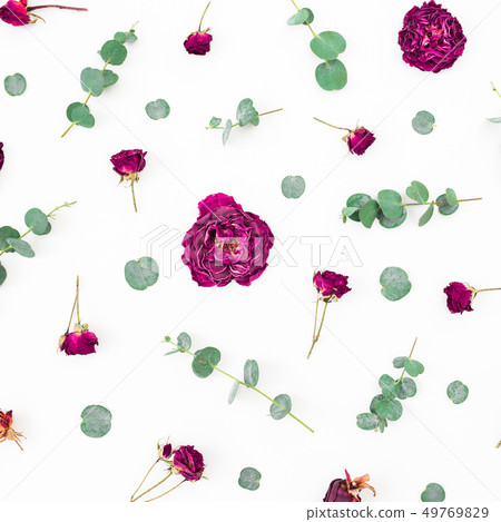 Floral pattern of flowers and eucalyptus branches Floral pattern of flowers and eucalyptus branches 49769829
