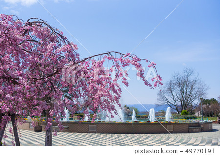 東洋公園的櫻花 49770191