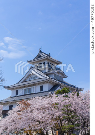 東洋公園的櫻花 東洋公園的櫻花 49770198