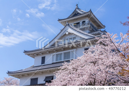 東洋公園的櫻花 49770212
