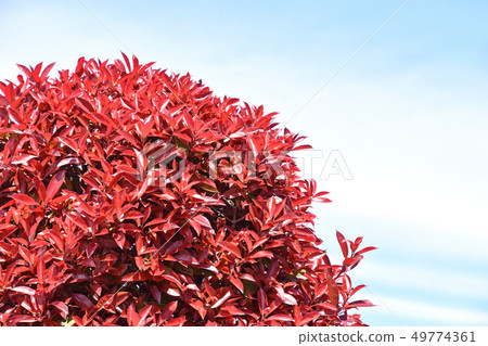 Kaname備忘錄(必填) Kaname備忘錄(必填) 49774361