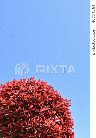 Kaname備忘錄(必填) Kaname備忘錄(必填) 49774364