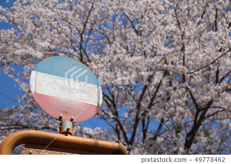 Spring bus stop Spring bus stop 49778462