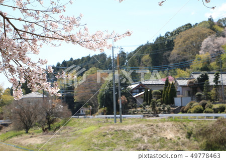 Country landscape Country landscape 49778463