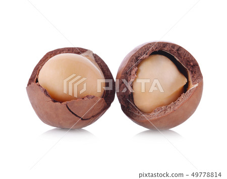 Macadamia nut isolated on white background. Macadamia nut isolated on white background. 49778814