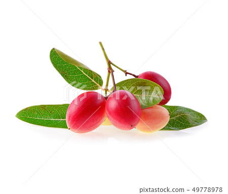 Karanda fruit isolated on white background. 49778978