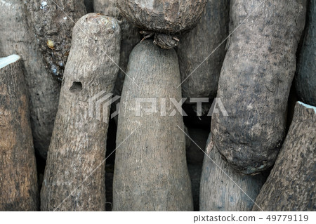 Puna yam roots displayed at food market, plant skin detail 49779119