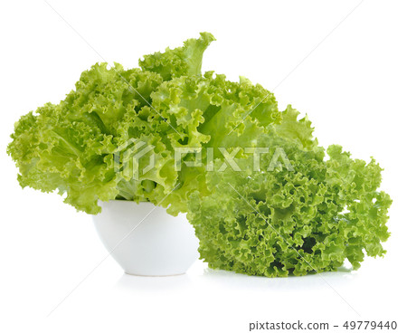 fresh  lettuce leaves isolated on white 49779440