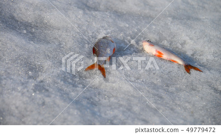 Winter fishing on the lake 49779472