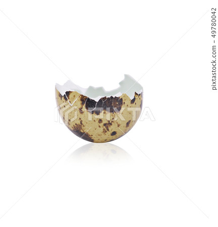 Quail eggs on white background Quail eggs on white background 49780042