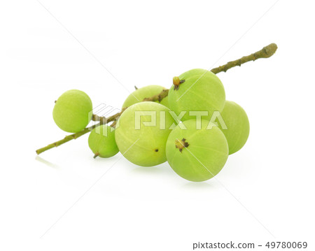 Indian gooseberry isolated on white background 49780069