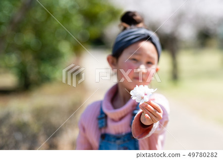 櫻花的孩子 49780282