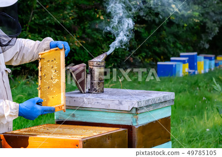 Beekeeper in protective workwear inspecting frame Beekeeper in protective workwear inspecting frame 49785105