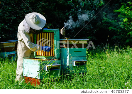 Beekeeper on apiary. Beekeeper is working with 49785277