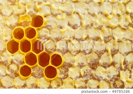 Honeycomb. Macro photo of honey cells filled with 49785286