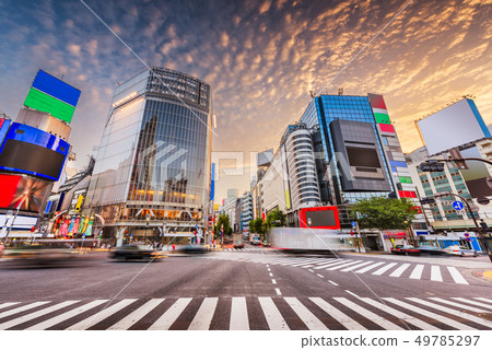 Shibuya Crossing, Tokyo, Japan 49785297