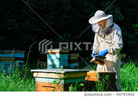 A young man beekeeper works on an apiary near bee 49785402