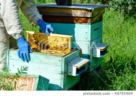 A beekeeper works on a beehive near the hives. 49785404