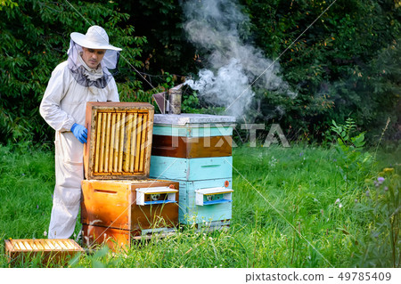 A young man beekeeper works on a beehive near the 49785409