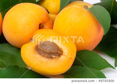 Fresh apricots with green leaves and apricot 49785800