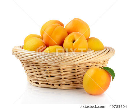 Fresh apricots in the basket are isolated on a Fresh apricots in the basket are isolated on a 49785804