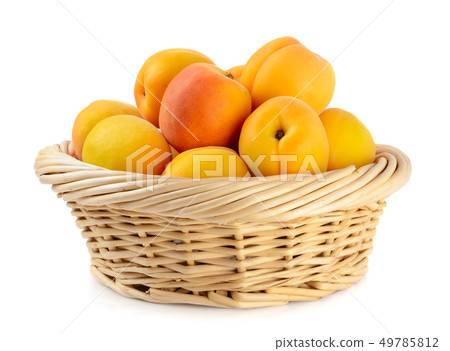 Fresh apricots in the basket are isolated on a Fresh apricots in the basket are isolated on a 49785812