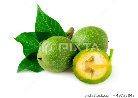 Green walnut on a twig with leaves on a white Green walnut on a twig with leaves on a white 49785842