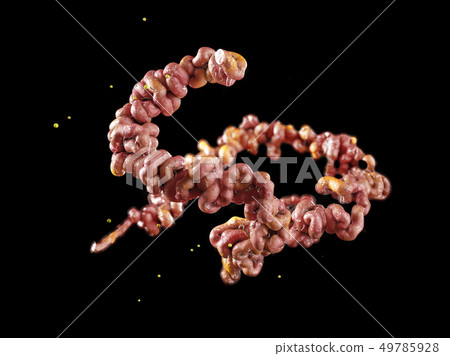 Lyme disease bacteria isolated black 3D illustration Lyme disease bacteria isolated black 3D illustration 49785928
