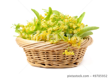 Flowers of linden in a basket on a white 49785932