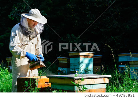 Beekeeper on apiary. Beekeeper is working with Beekeeper on apiary. Beekeeper is working with 49785951