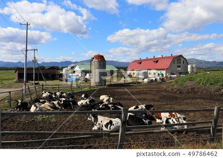 Scenery with farms in the Tokachi region of Hokkaido 49786462